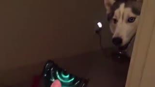 主人调教视频国产